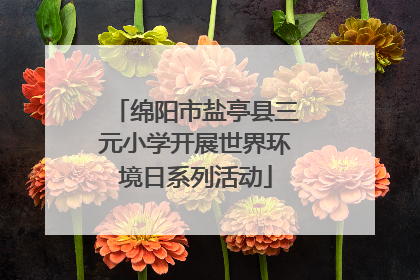 绵阳市盐亭县三元小学开展世界环境日系列活动