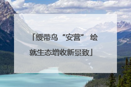 绶带鸟“安营” 绘就生态增收新景致
