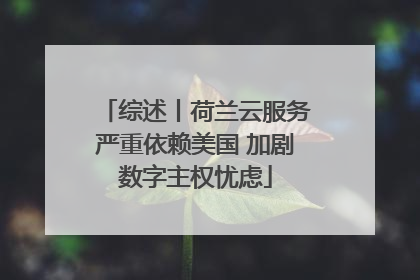 综述丨荷兰云服务严重依赖美国 加剧数字主权忧虑