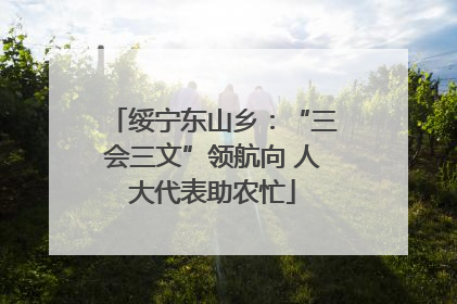 绥宁东山乡：“三会三文”领航向 人大代表助农忙