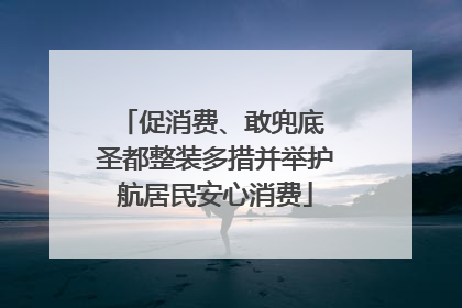 促消费、敢兜底 圣都整装多措并举护航居民安心消费