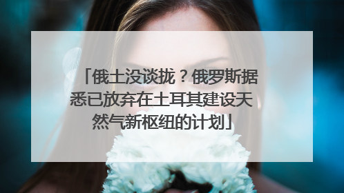 俄土没谈拢？俄罗斯据悉已放弃在土耳其建设天然气新枢纽的计划