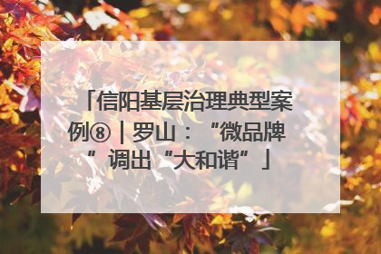 信阳基层治理典型案例⑧｜罗山：“微品牌”调出“大和谐”