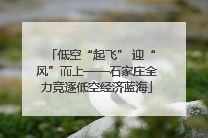 低空“起飞” 迎“风”而上——石家庄全力竞逐低空经济蓝海