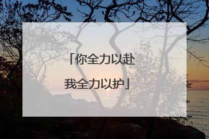 你全力以赴 我全力以护