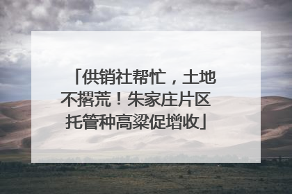 供销社帮忙，土地不撂荒！朱家庄片区托管种高粱促增收