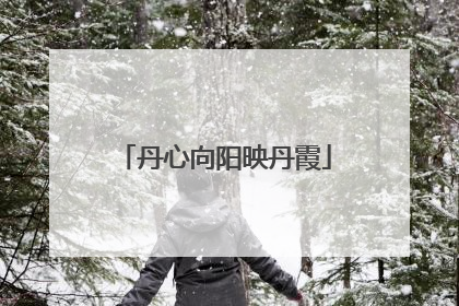 丹心向阳映丹霞