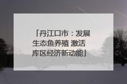 丹江口市：发展生态鱼养殖 激活库区经济新动能