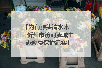 为有源头清水来——忻州市汾河流域生态修复保护纪实