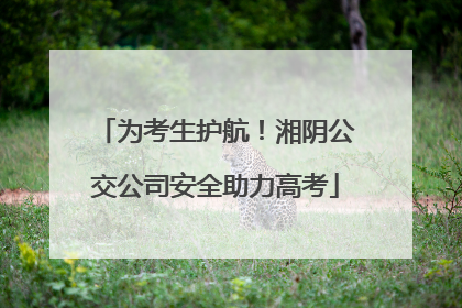 为考生护航！湘阴公交公司安全助力高考