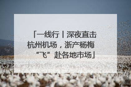 一线行丨深夜直击杭州机场，浙产杨梅“飞”赴各地市场
