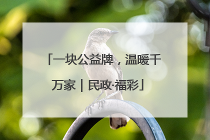 一块公益牌，温暖千万家｜民政·福彩