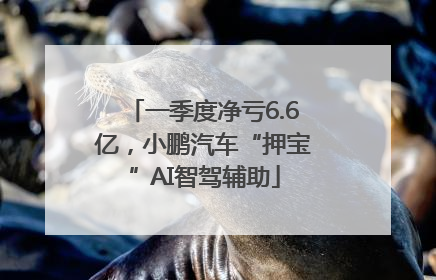 一季度净亏6.6亿，小鹏汽车“押宝”AI智驾辅助