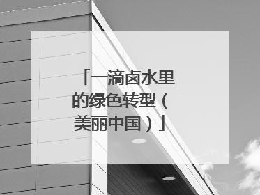 一滴卤水里的绿色转型（美丽中国）