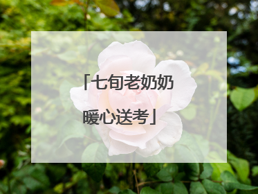 七旬老奶奶暖心送考