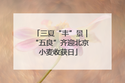 三夏“丰”景｜“五良”齐迎北京小麦收获日