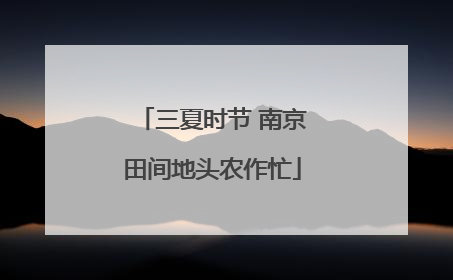 三夏时节 南京田间地头农作忙