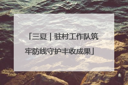 三夏｜驻村工作队筑牢防线守护丰收成果