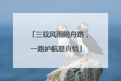 三载风雨同舟路，一路护航显真情
