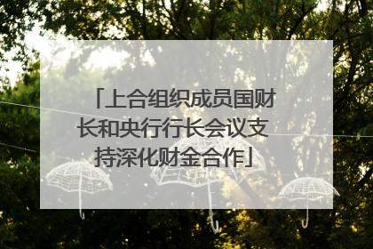 上合组织成员国财长和央行行长会议支持深化财金合作