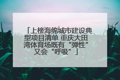 上榜海绵城市建设典型项目清单 重庆大田湾体育场既有“弹性”又会“呼吸”