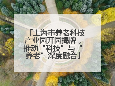 上海市养老科技产业园开园揭牌，推动“科技”与“养老”深度融合
