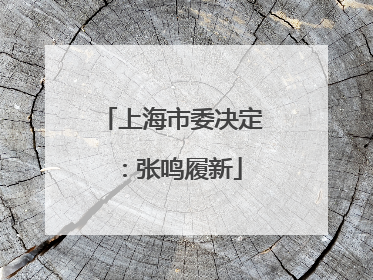 上海市委决定：张鸣履新