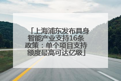 上海浦东发布具身智能产业支持16条政策：单个项目支持额度最高可达亿级