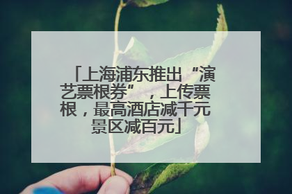 上海浦东推出“演艺票根券”，上传票根，最高酒店减千元景区减百元