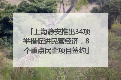 上海静安推出34项举措促进民营经济，8个重点民企项目签约