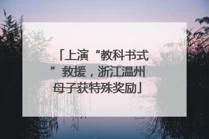 上演“教科书式”救援，浙江温州母子获特殊奖励