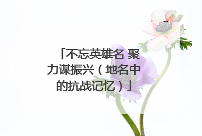 不忘英雄名 聚力谋振兴（地名中的抗战记忆）