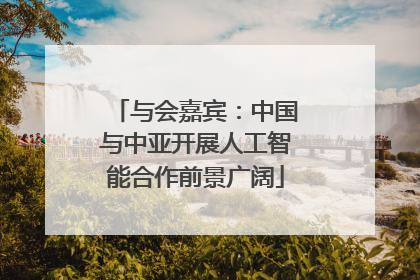 与会嘉宾：中国与中亚开展人工智能合作前景广阔