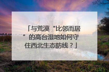 与荒漠“比邻而居”的高台湿地如何守住西北生态防线？