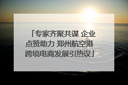 专家齐聚共谋 企业点赞助力 郑州航空港跨境电商发展引热议