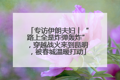 专访伊朗夫妇丨“路上全是炸弹轰炸”，穿越战火来到昆明，被春城温暖打动