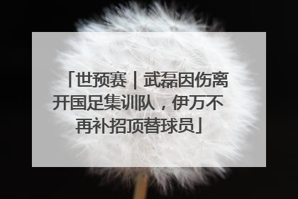 世预赛｜武磊因伤离开国足集训队，伊万不再补招顶替球员