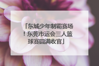东城少年制霸赛场！东莞市运会三人篮球赛圆满收官