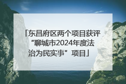 东昌府区两个项目获评“聊城市2024年度法治为民实事”项目