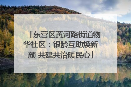 东营区黄河路街道物华社区：银龄互助焕新颜 共建共治暖民心