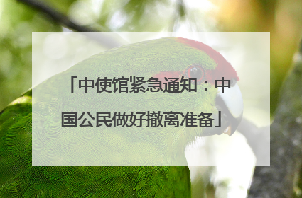 中使馆紧急通知：中国公民做好撤离准备