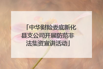 中华财险娄底新化县支公司开展防范非法集资宣讲活动