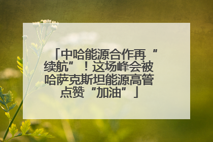 中哈能源合作再“续航”！这场峰会被哈萨克斯坦能源高管点赞“加油”