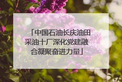 中国石油长庆油田采油十厂深化党建融合凝聚奋进力量