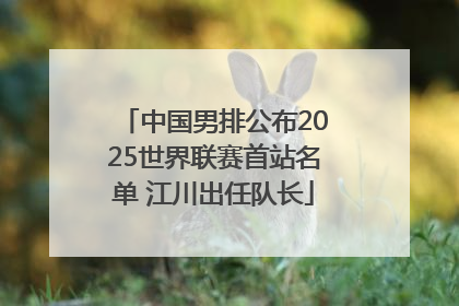 中国男排公布2025世界联赛首站名单 江川出任队长