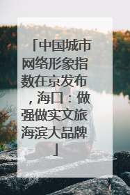 中国城市网络形象指数在京发布，海口：做强做实文旅海滨大品牌