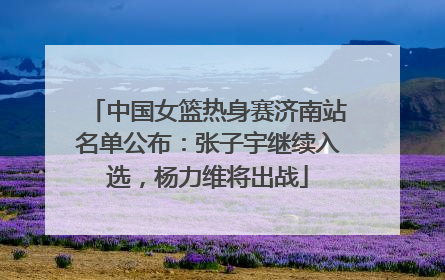 中国女篮热身赛济南站名单公布：张子宇继续入选，杨力维将出战