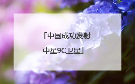 中国成功发射中星9C卫星