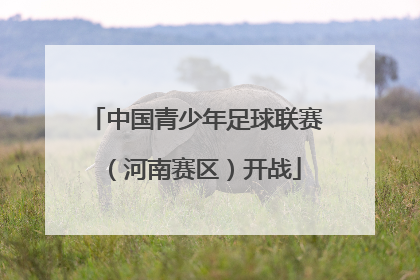 中国青少年足球联赛（河南赛区）开战