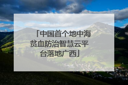 中国首个地中海贫血防治智慧云平台落地广西